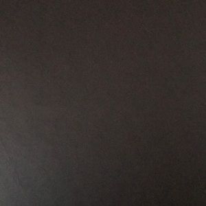 Meet your Posher, Dante